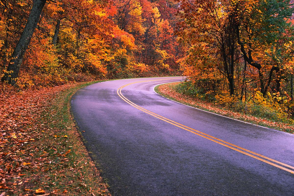 RoadTrip in Fall